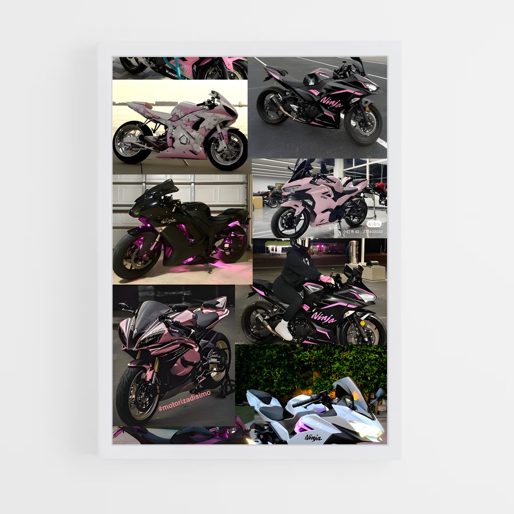 Poster Moto Palette (vue 3)